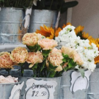 Flower Shops